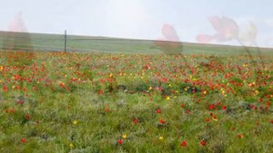 Литания Пресвятой Богородице (Лоретанская) II
