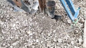 посадка чеснока чеснокосажалкой