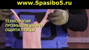 Перосъемная насадка для ощипывания домашней птицы