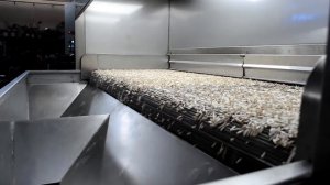 Ozstar Машина для обжарки орехов - Çekirdek Kavurma Makinası - Sunflower Seeds Roasting Machine