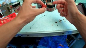 ТОП НАСАДКИ НА БОЛЬШОГО КАРПА! Как поймать большого карпа