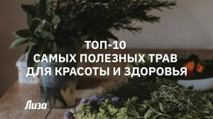 Топ-10 полезных растений для здоровья и красоты