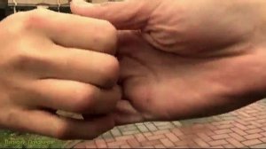 Алексей Романюта - Осенний сад.mp4