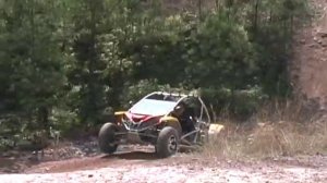 Завод Renli Vehicle ltd и багги Renli 500cc