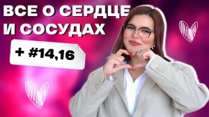 💘Сердце и сосуды💥|сердечно-сосудистая системы| все для ОГЭ | ОГЭ 2025