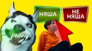 ТЕСТ НА НЯШНОСТЬ И ДРУГИЕ ПРИКОЛЫ! (Хаски Бандит) Говорящая собака