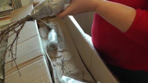 Отзыв .Распаковка посылки из Агромаркета 24