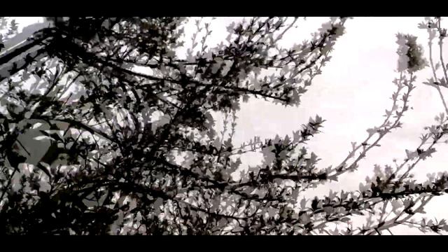 M.T.Music - Memories смотреть онлайн