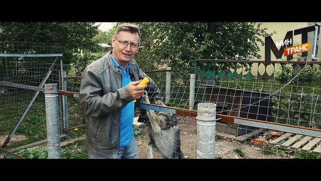 ОТПУГИВАТЕЛЬ СОБАК / проверяем работу смотреть онлайн