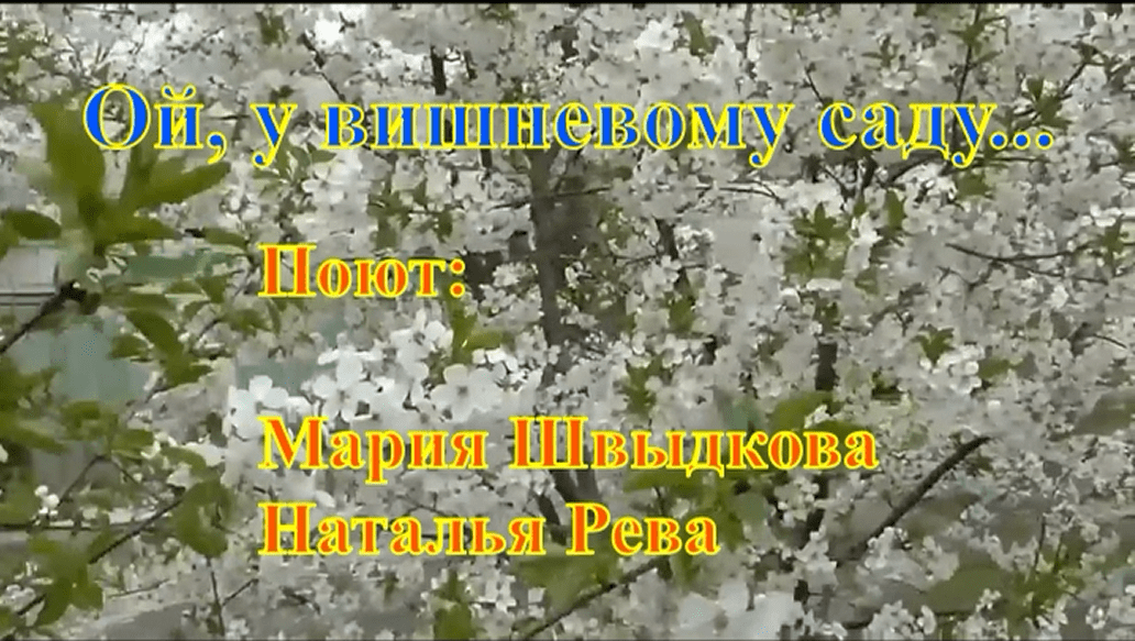 Ой у вишневому саду. Песня Ой у вишневому саду. Ой у вишневому садку Слепые прослушивания.