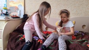 Укусил за лицо! Дети играют с котёнком!