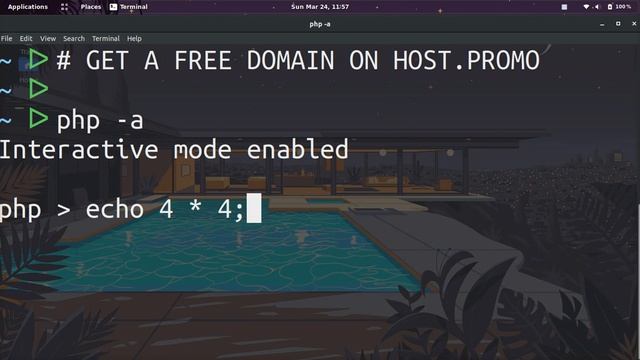 ? HOW TO RUN PHP CODE FROM THE COMMAND LINE ?