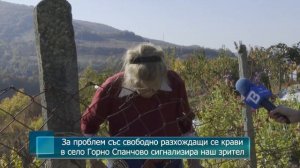 Новини от Петрич и Сандански 19/11/2020 година