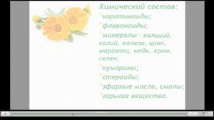 Календула Лечебные свойства и противопоказания