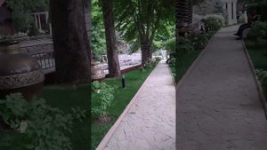 Дарвоз дача