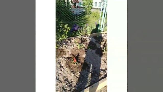 Благоустройство территории села Князе-Волконского по Никитенко 7 смотреть онлайн