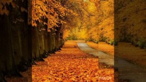 Вечная любовь