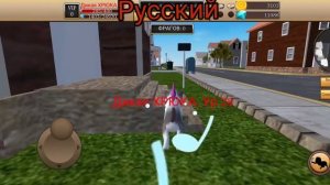 Американский игрок-Cat Simulator - Animal Life VS Русский игрок-Cat Simulator - Animal Life