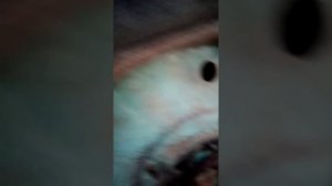 Замена лап, целиндров, пальцев, ЮМЗ - 6, ЭО - 2621