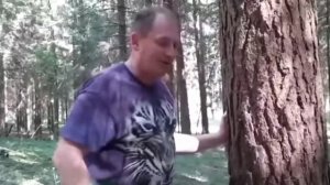 ОТРАБОТКА УДАРОВ СУПЕР ЧЕЛОВЕКА ПО ДЕРЕВУ.