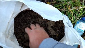 Верховодка и плотва на прикормку из макухи и глины