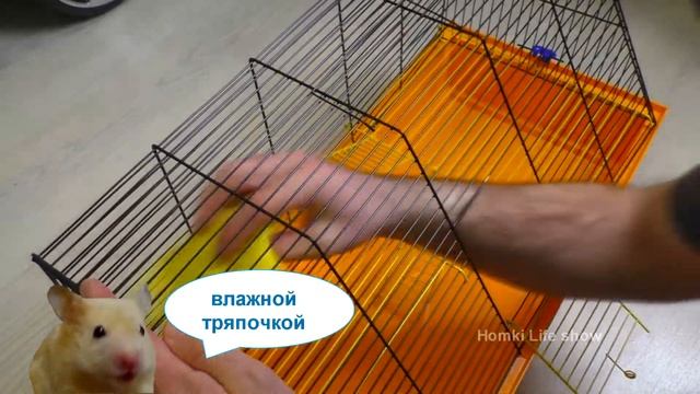 Уборка в Клетке у Хомяка Бобби. Hamster смотреть онлайн