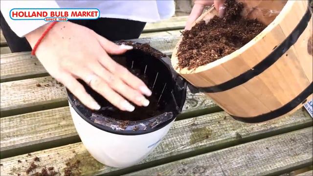 Planting Allium's on the Lazy pot смотреть онлайн