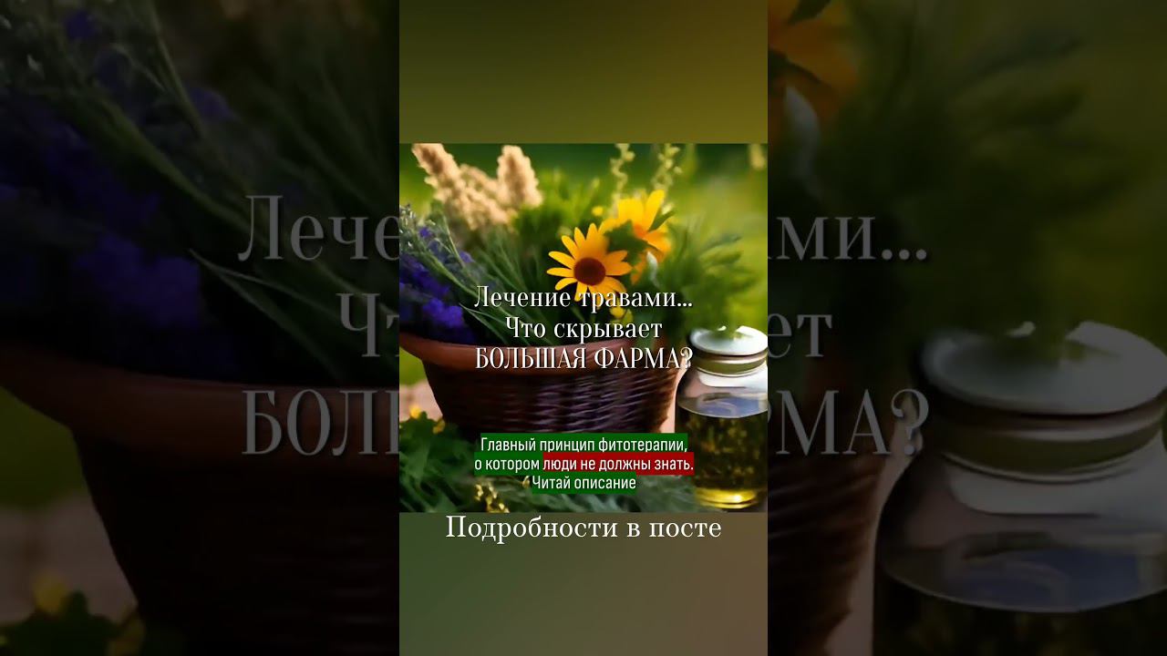Главный принцип фитотерапии #травыкавказа
