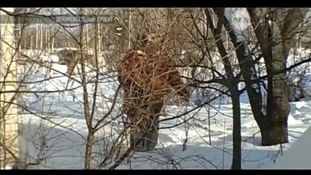 ОТКРЫТИЕ УЧЕНЫХ ПОРАЗИЛО! НОВАЯ ФОРМА ЖИЗНИ НАЙДЕНА   ОНА ОСУЩЕСТВЛЯЕТСЯ С ПОМОЩЬЮ СМЕРТИ!