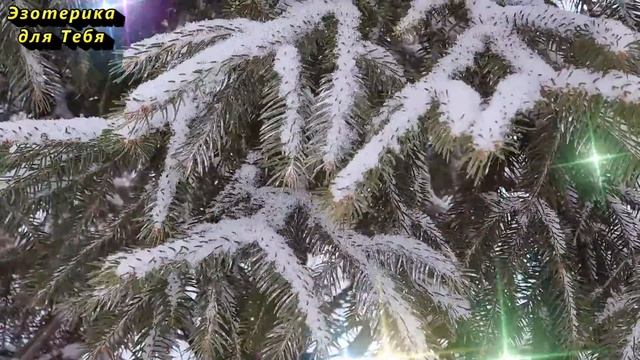 Самые благоприятные денежные дни в феврале 2022 для стрижки волос. Привлечете удачу и деньги