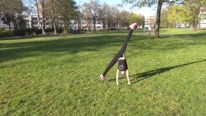 Челлендж 100 колес. ВЫЗОВ БРОШЕН! Гимнастика. Challenge 100 wheels. Gymnastics