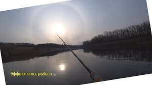 Забастовка ЩУКИ!!!