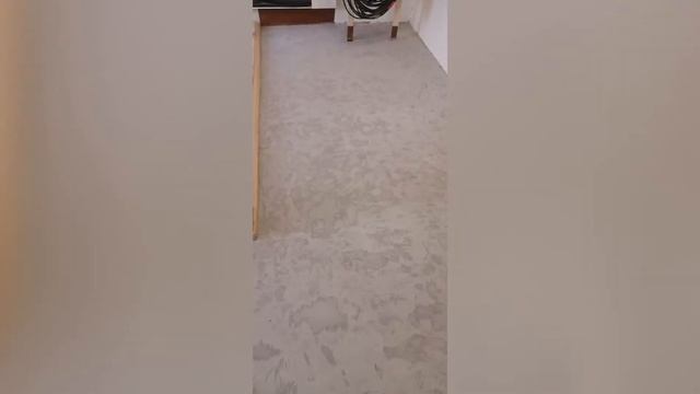 Флоковый ковер в Кремле часть 1
