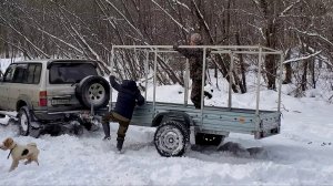 Долми. Тайга. Район имени Лазо.