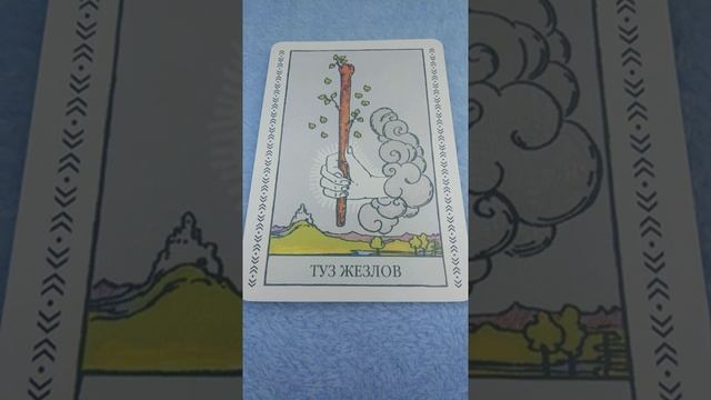 номерные карты ( туз жезлов )