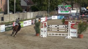 Cser Attila & Pikeur Lux, Kiskunhalas, GP