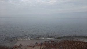 Балтийское море (Светлогорск, Пионерский) 30.11.2023.