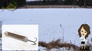 Топ 5 УЛОВИСТЫХ ЗИМНИХ блесен на щуку! Лучшие уловистые блесны на щуку зимой!