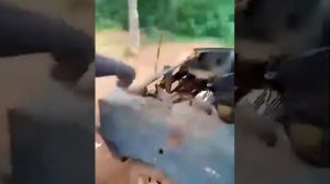 Первый парень на деревне