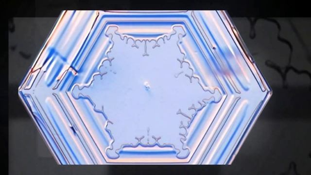 Футаж Снежинки под микроскопом Footage Snowflakes under a microscope 000798 смотреть онлайн