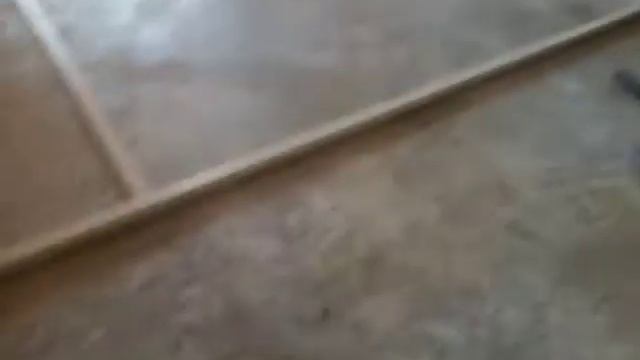 Наливной пол года.(2) смотреть онлайн