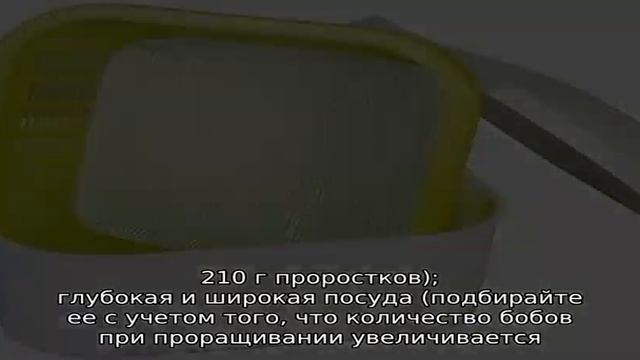 Настоящая находка для худеющих и сыроедов: как прорастить маш в домашних условиях и как его правил. смотреть онлайн