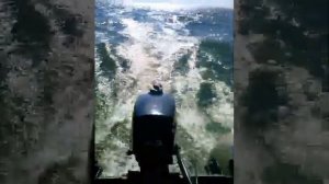 мотор лодочный хайди на рыбалке