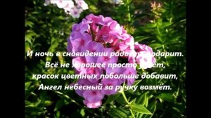 Твои Розовые сны