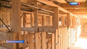 Как КФХ с 20-летней историей развивает молочное скотоводство и старается возродить село