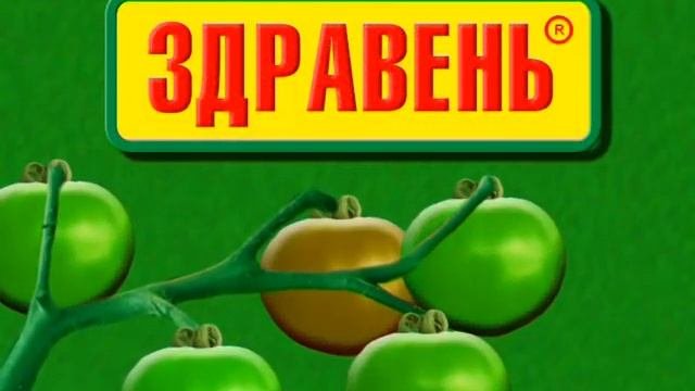 Здравень для томатов и перцев (быстрее растут)