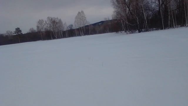 охота с лайкой #лайки смотреть онлайн