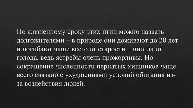 Любопытные факты о ястребах. Ястреб напал человека)