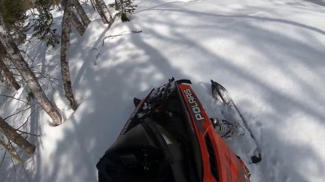 По ручьям и лесам смотреть онлайн