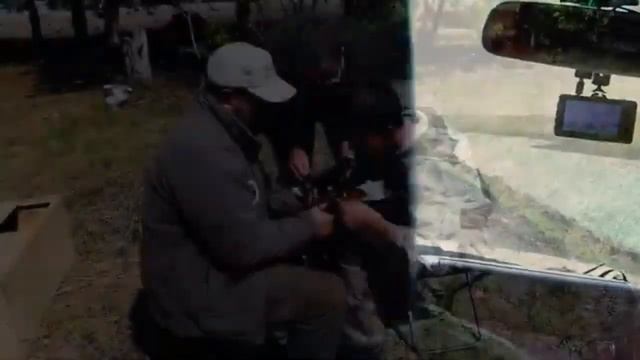 Сохраним краснозобую казарку, Штоль Егор, Токушинская школа-гимназия смотреть онлайн